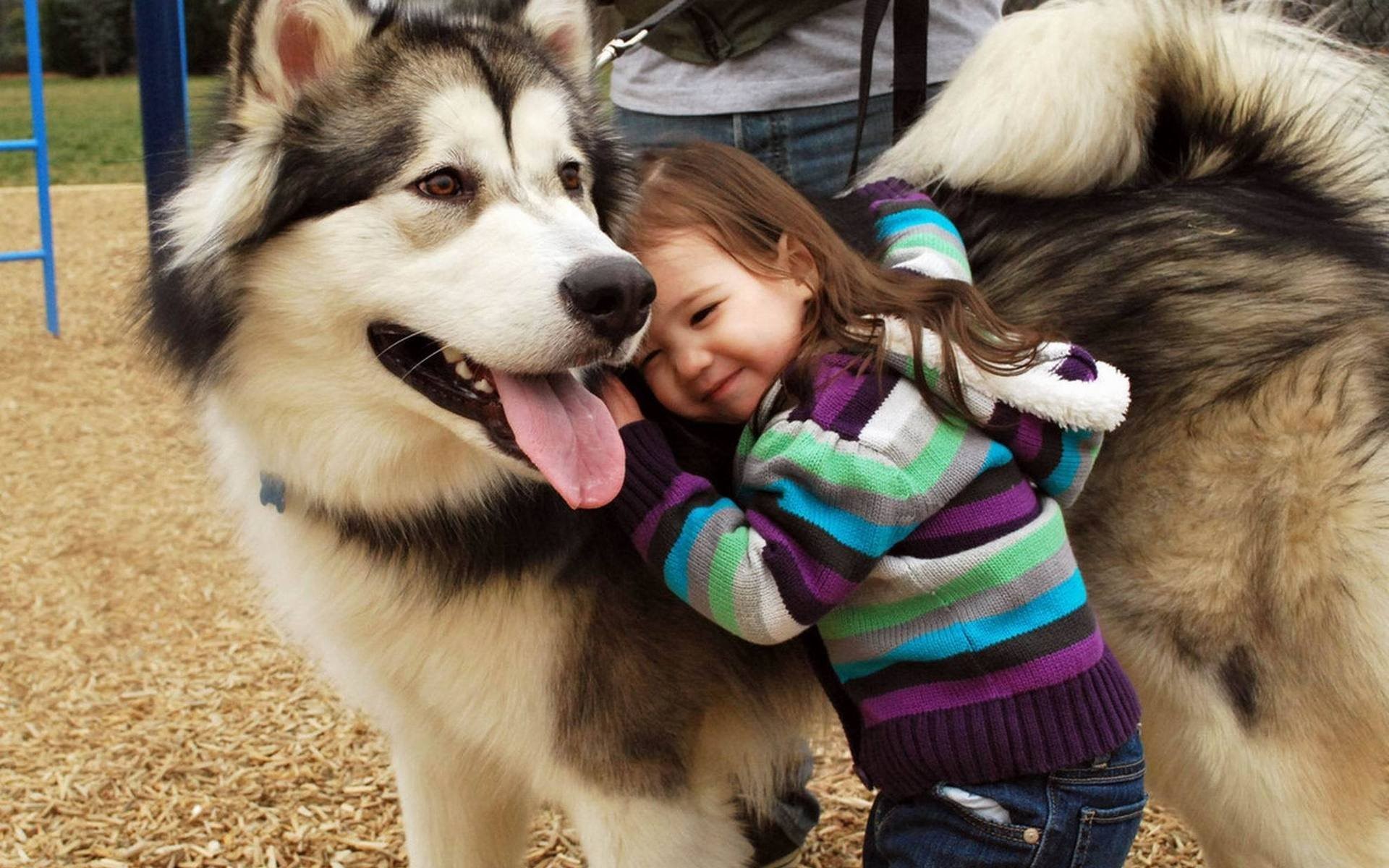 Young Woman Hugging Alaskan Malamute Snowscape