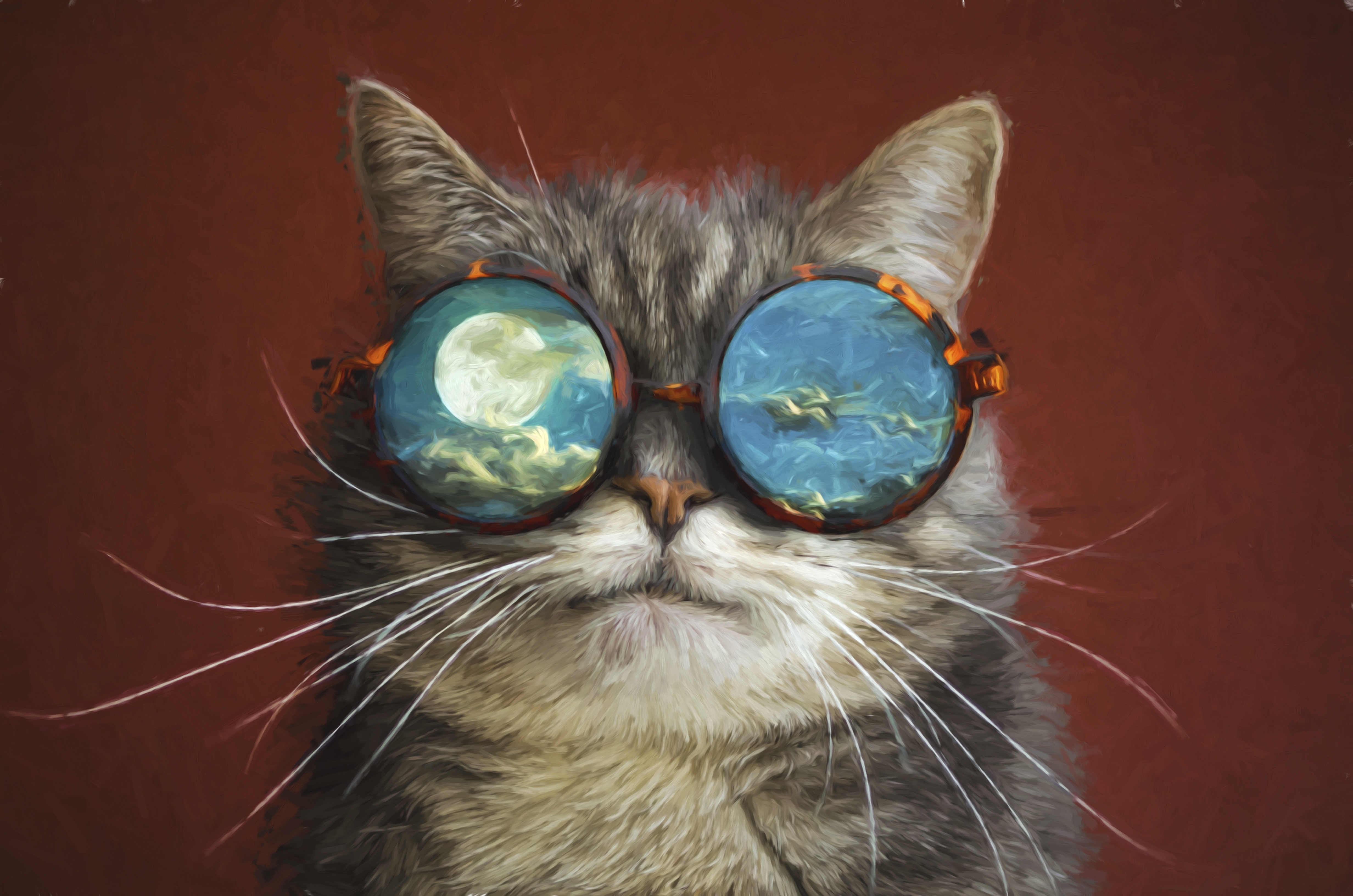 Artistic Cat Wearing Reflection Glasses