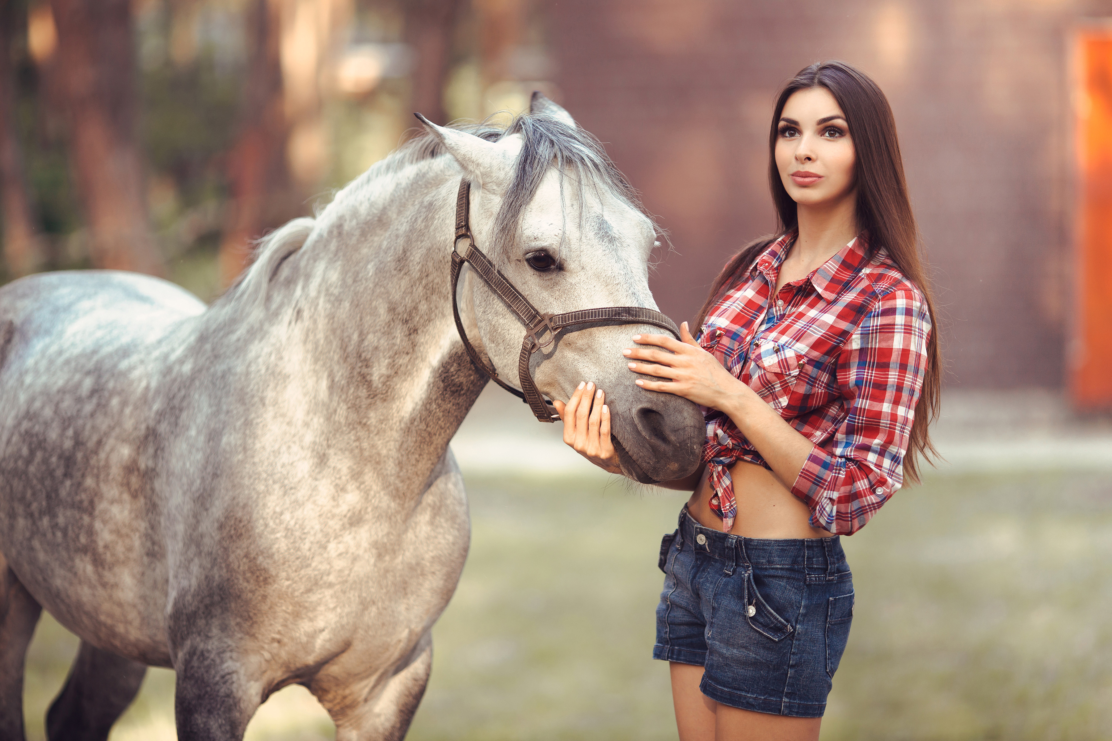 Equestrian Woman Forehead Touch White Horse
