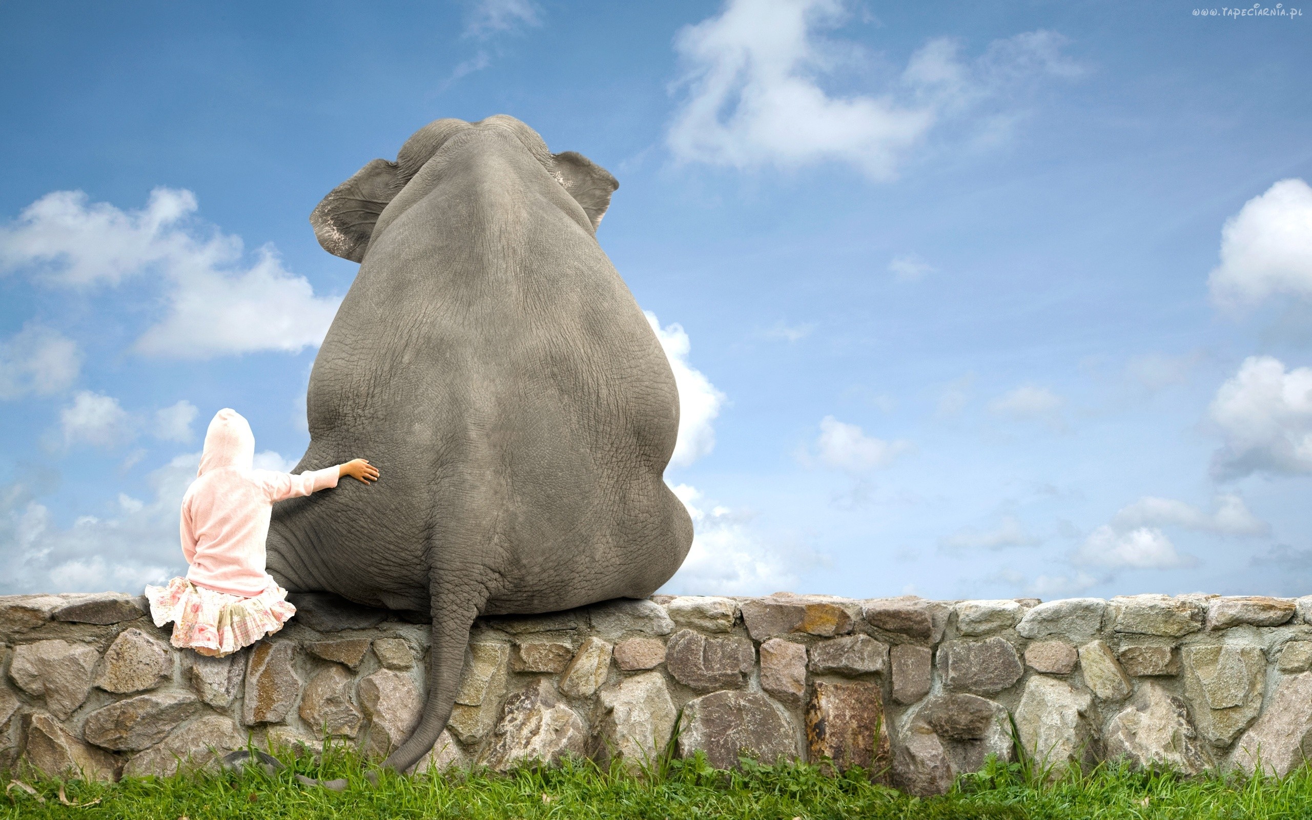 Surreal Friendship Girl and Asian Elephant Back View