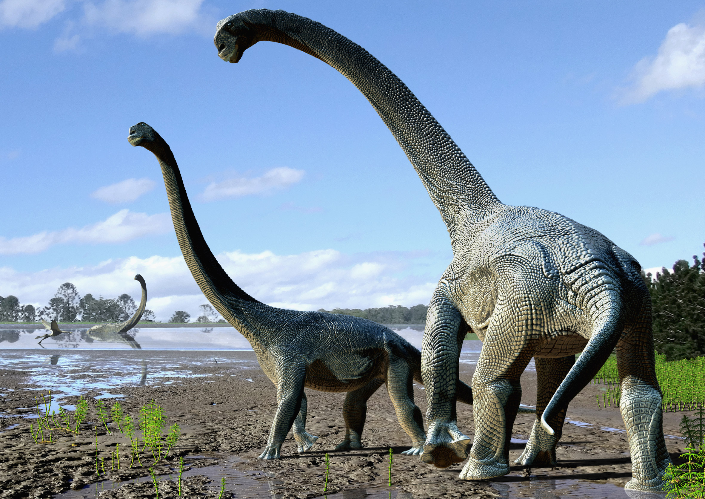 Prehistoric Sauropod Dinosaurs Swamp Lake