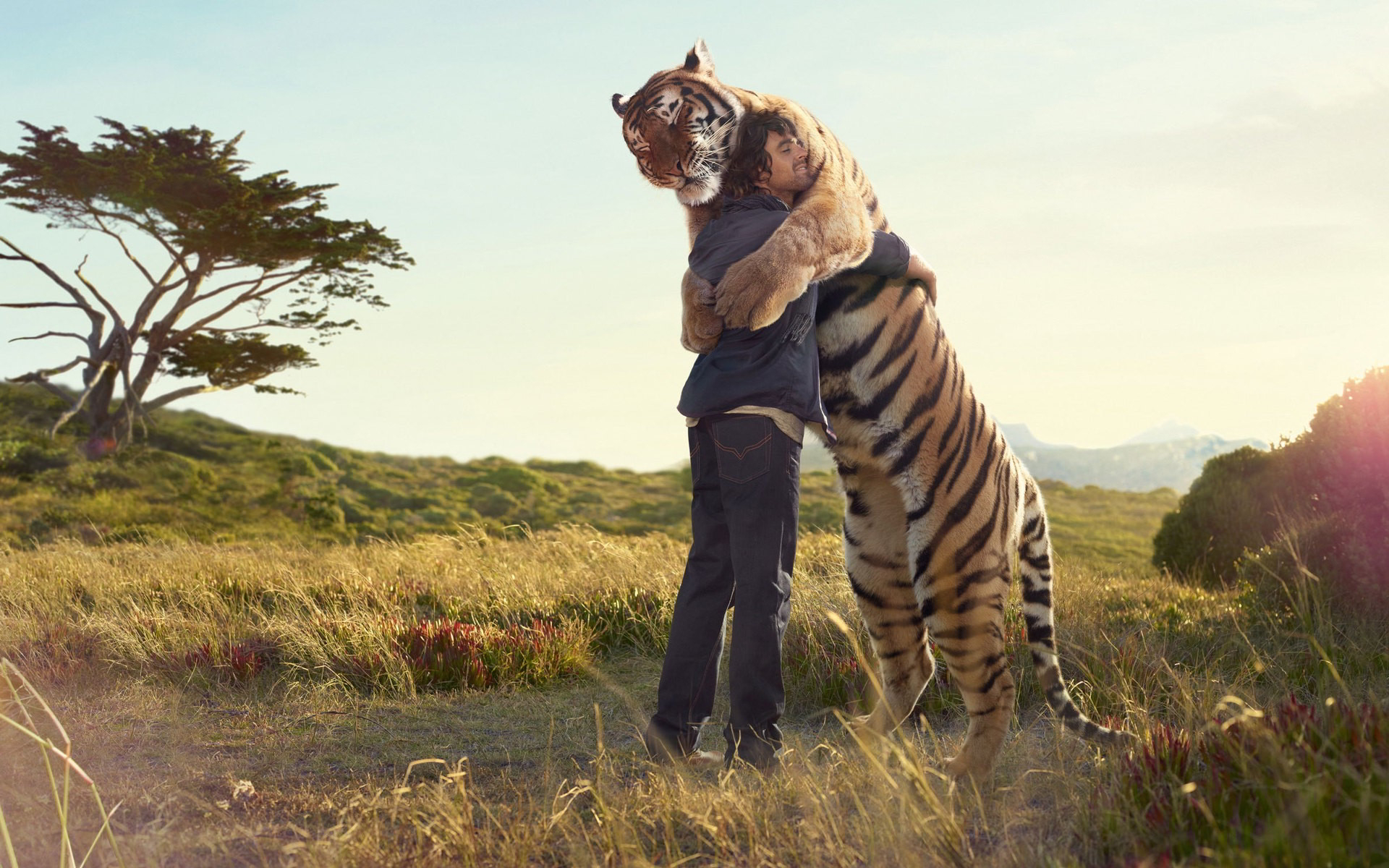 Heartwarming Tiger Hug