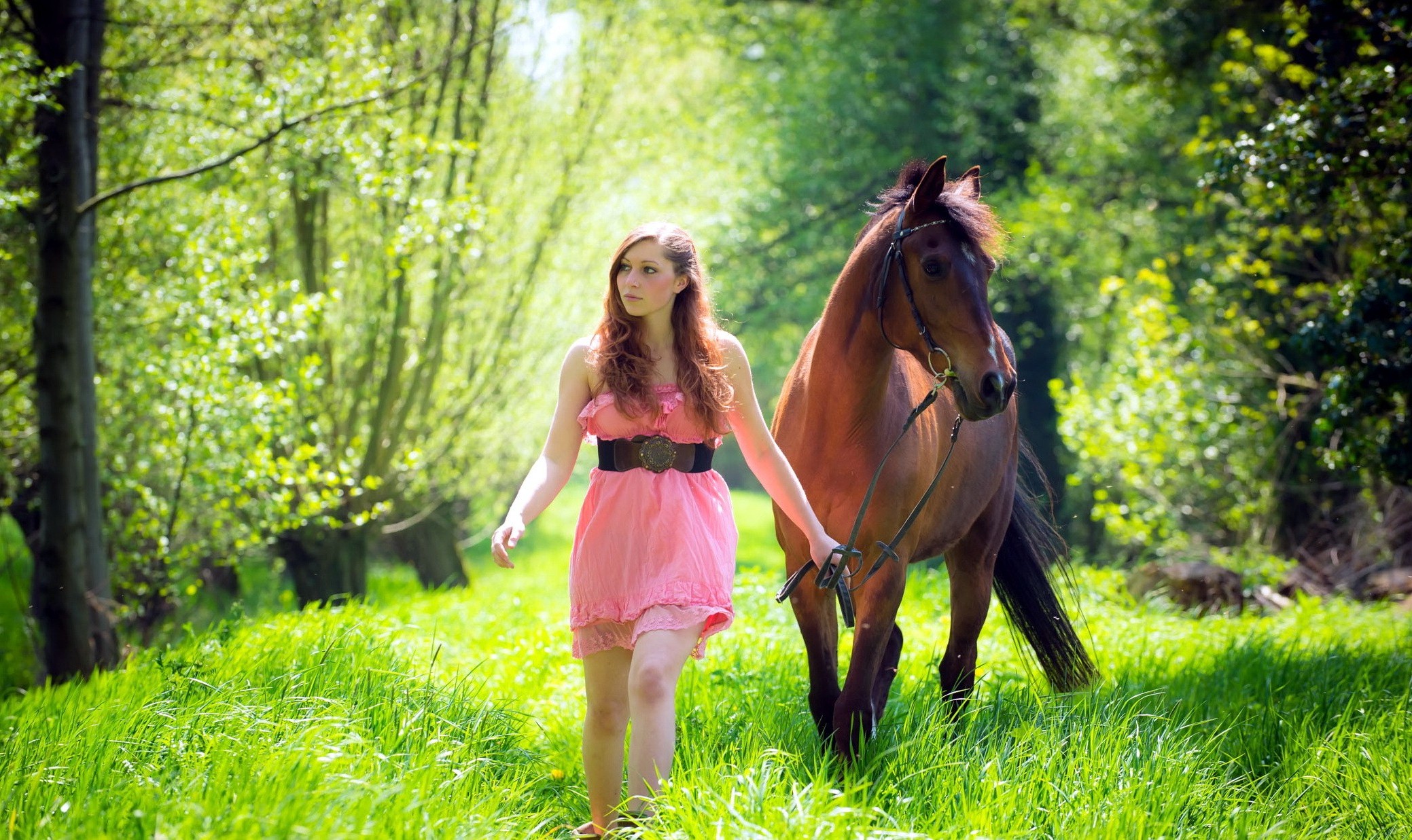 Young Woman Walking Beside Chestnut Horse Meadow