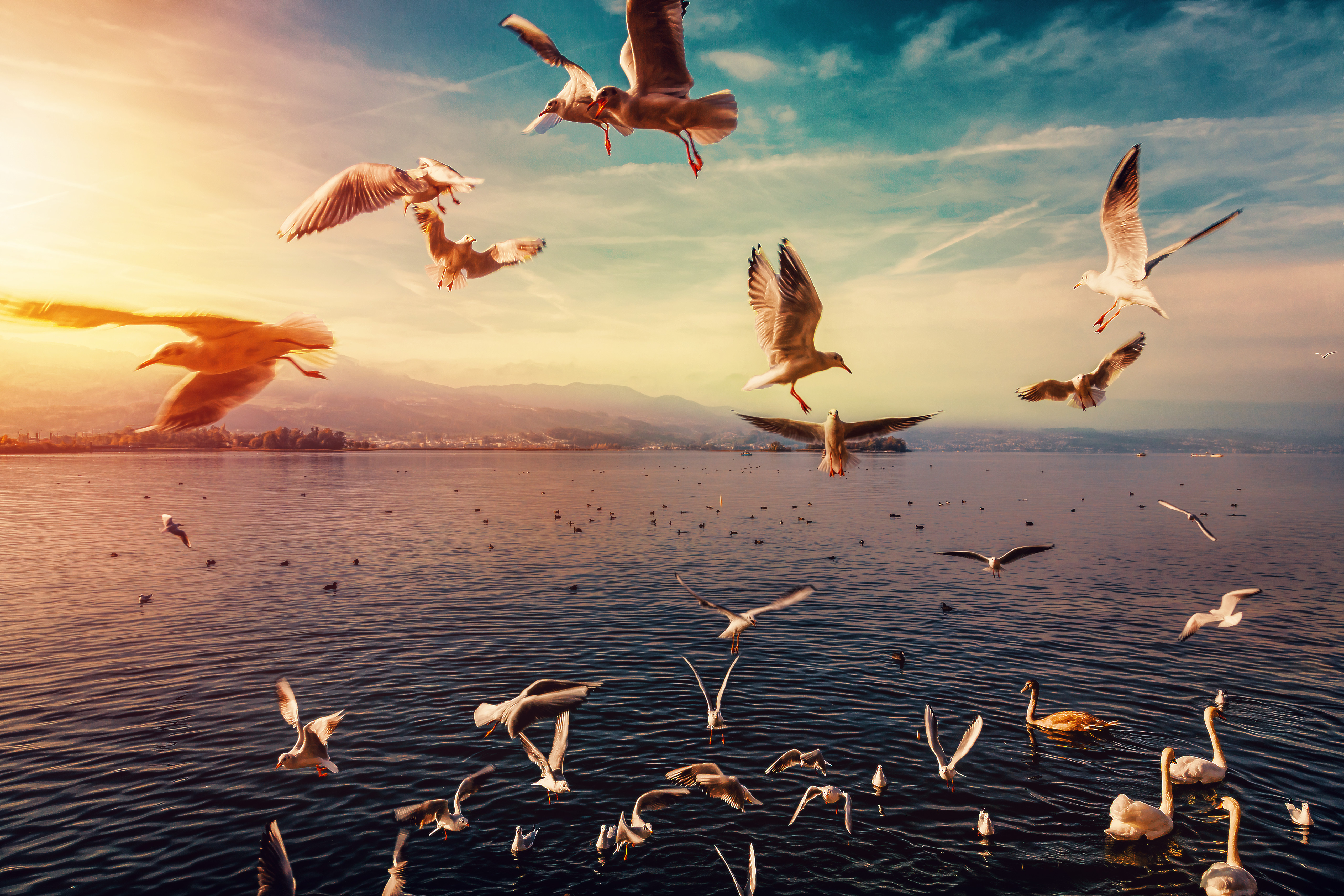 Golden Frenzy Over Glittering Waters