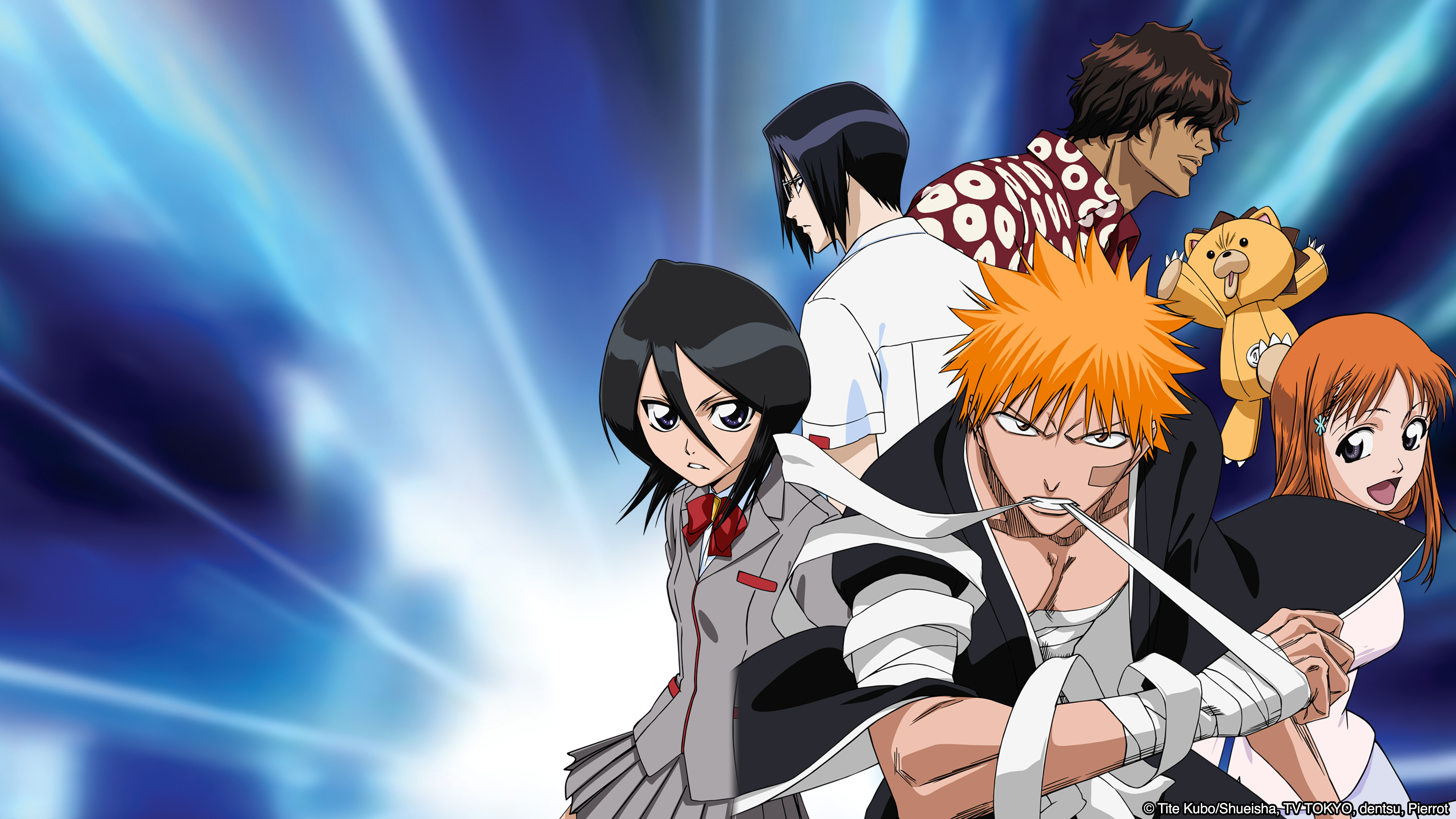 Karakura Vanguard. Guardians of the Soul Society