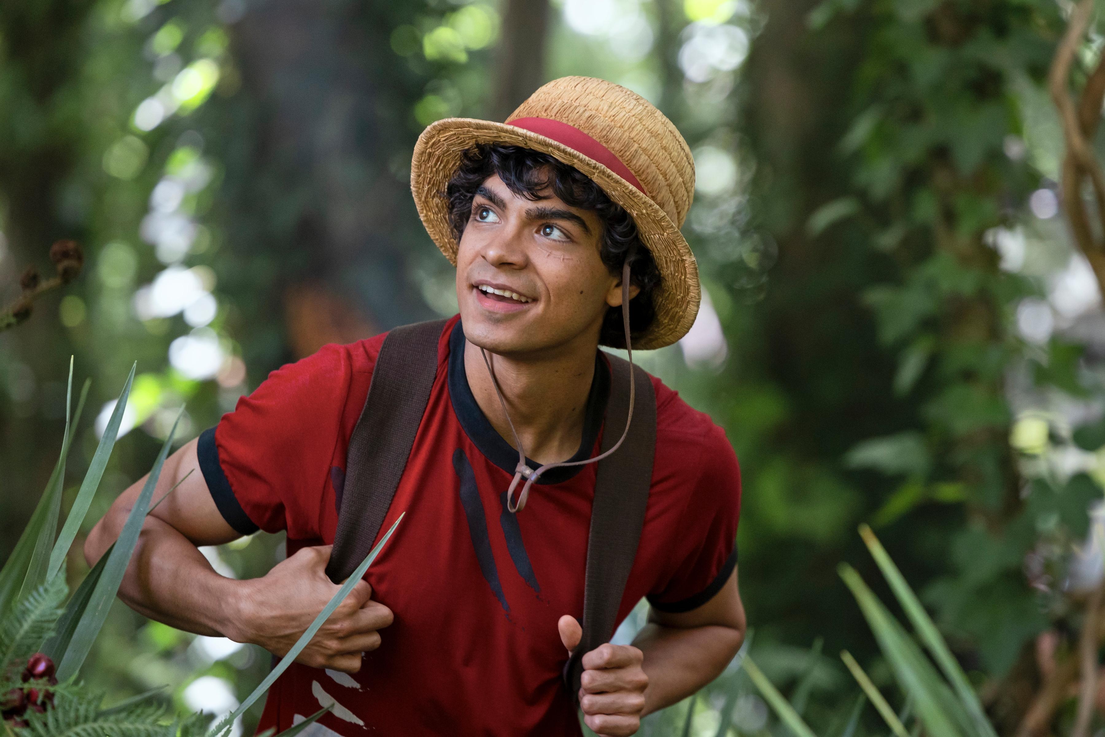 Forest Explorer. The Carefree Trail of the Captain 🌿☀️