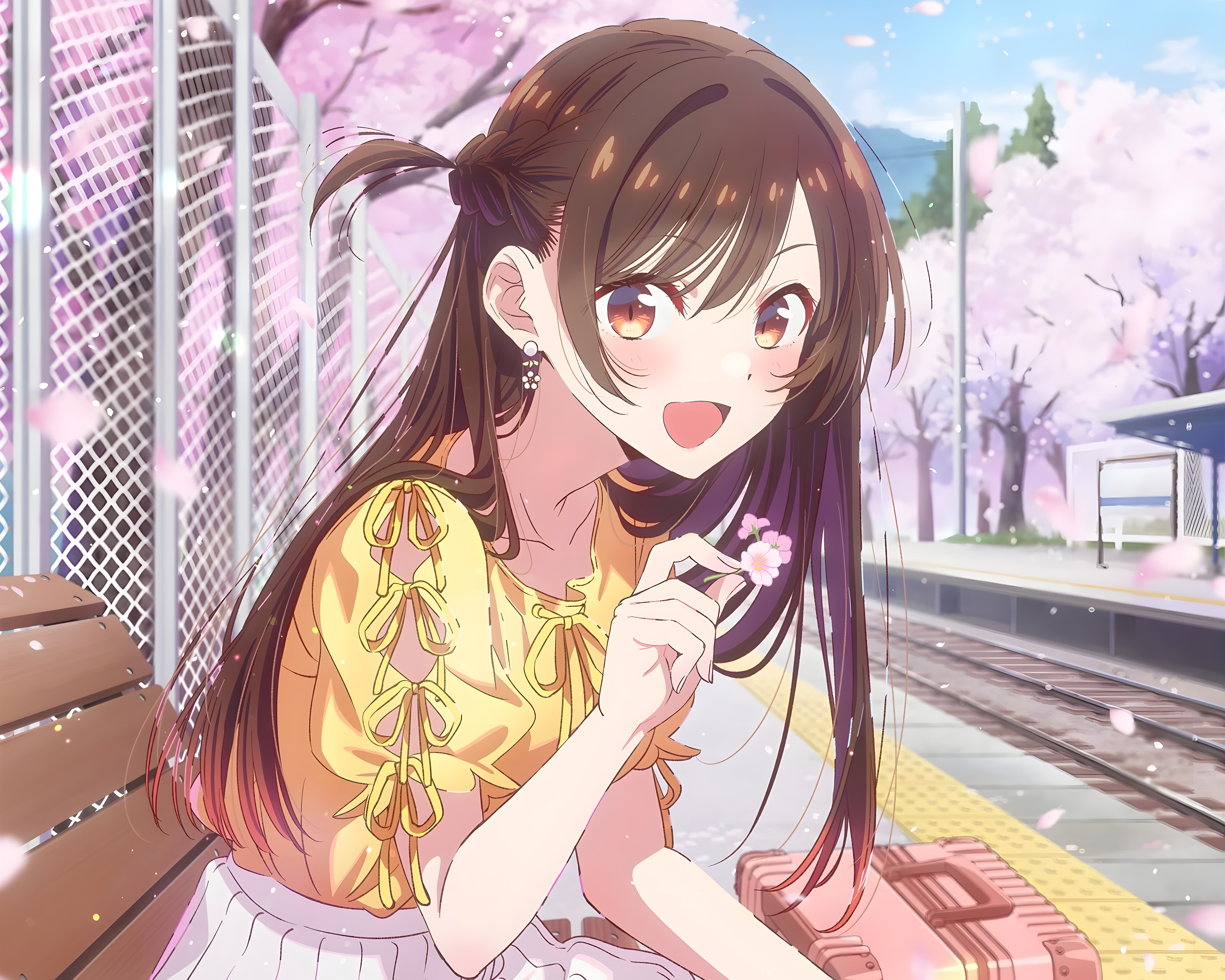 Cherry Blossom Platform. A Soft Spring Gaze