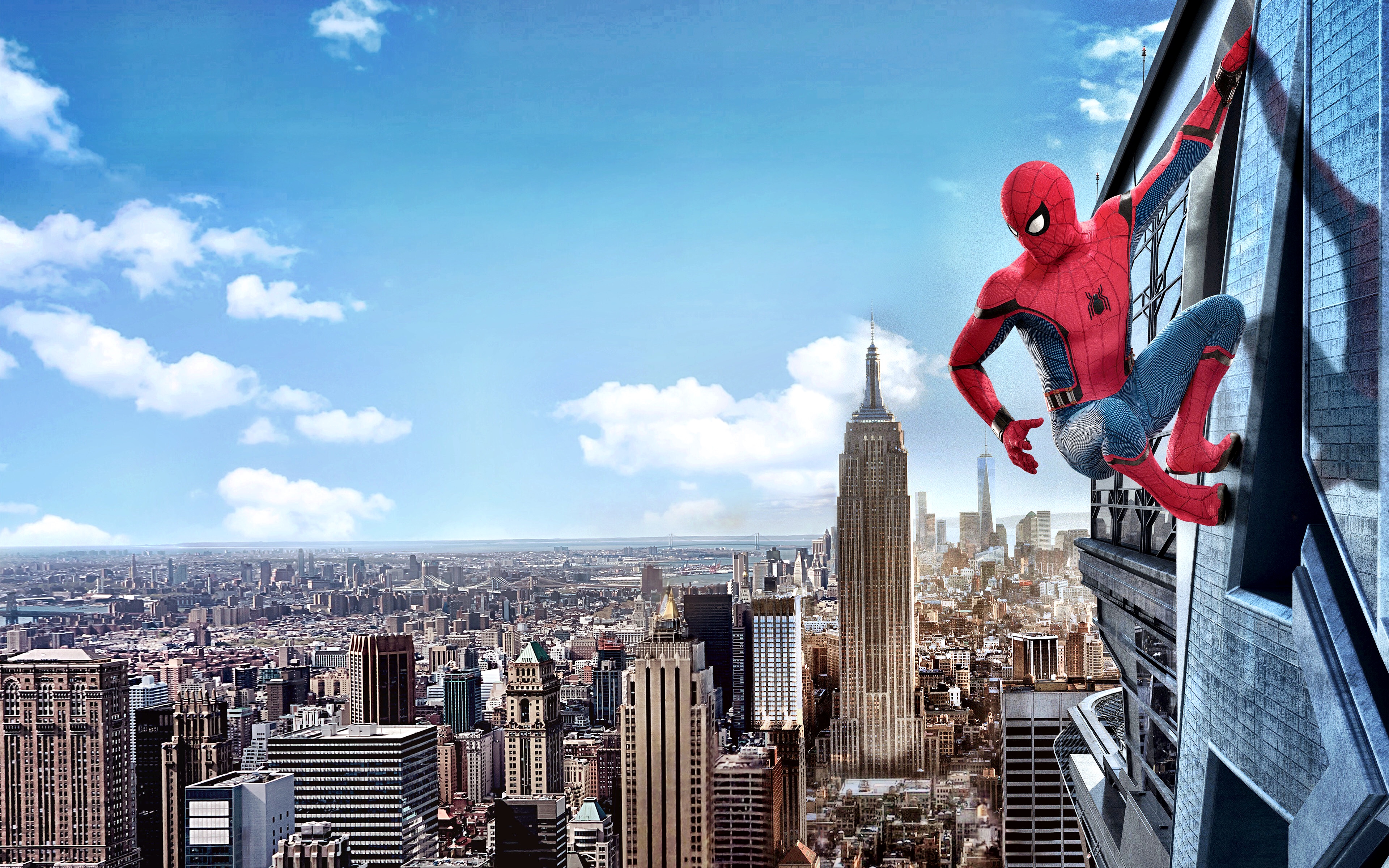 High Above The Concrete Jungle