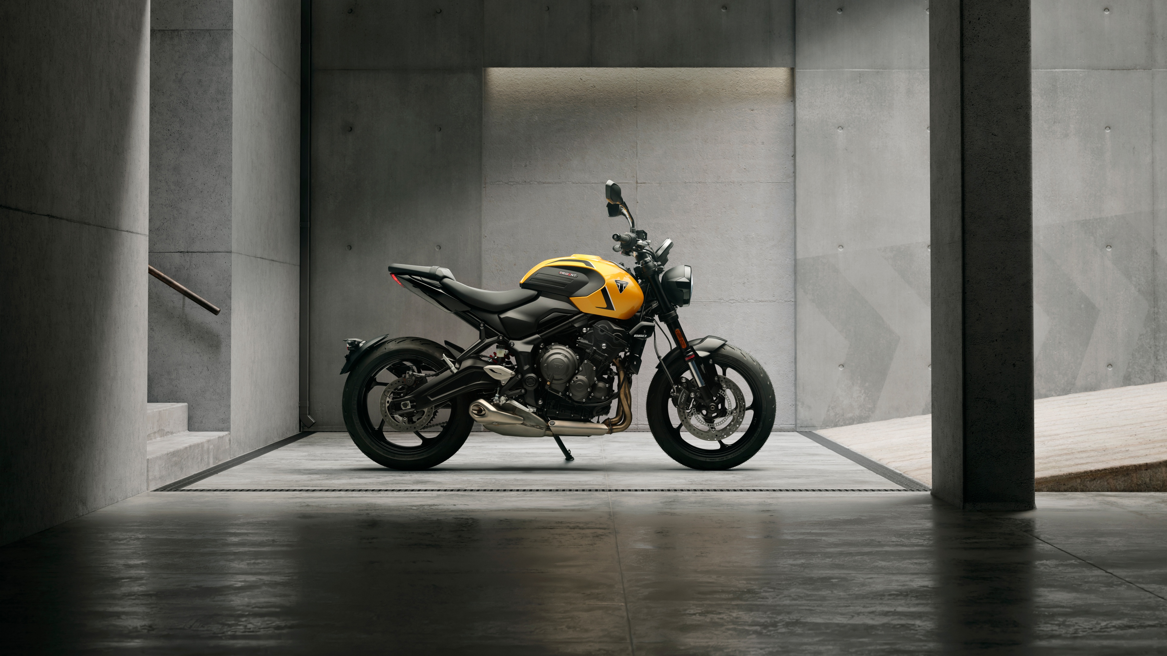 Minimalist Symmetry. The Golden Roadster Sanctuary