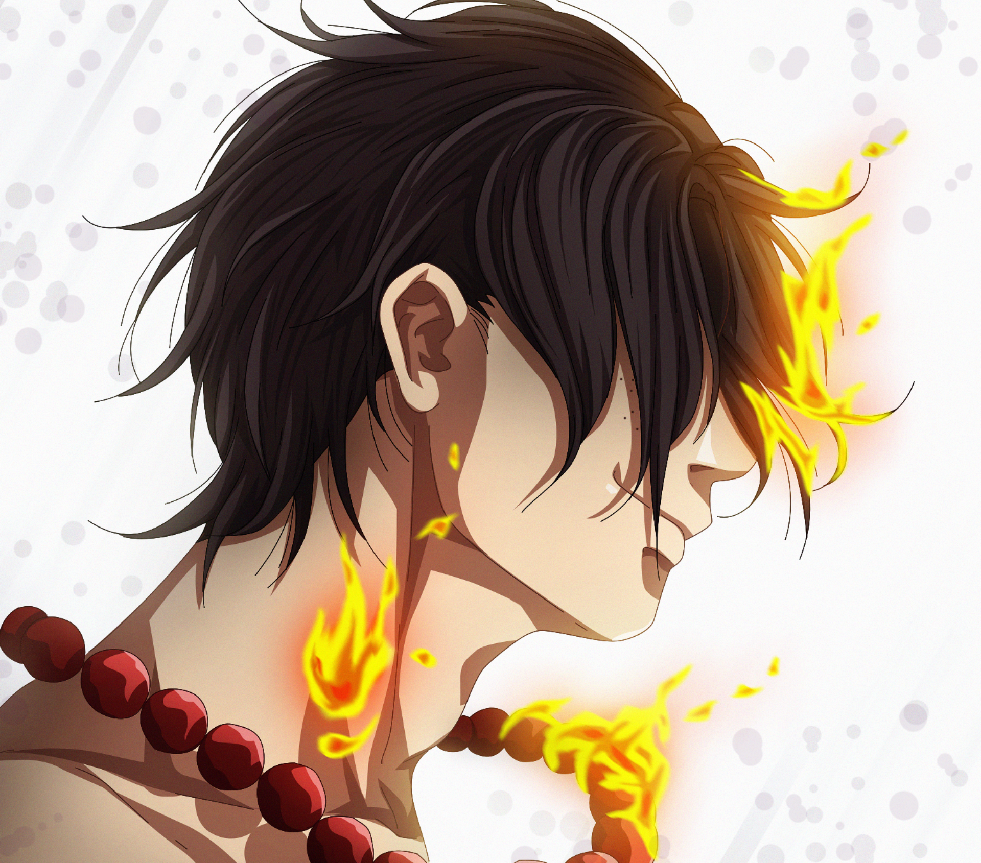 Ignited Profile. The Shadowed Flare of the Flame Commander 👤 Flame