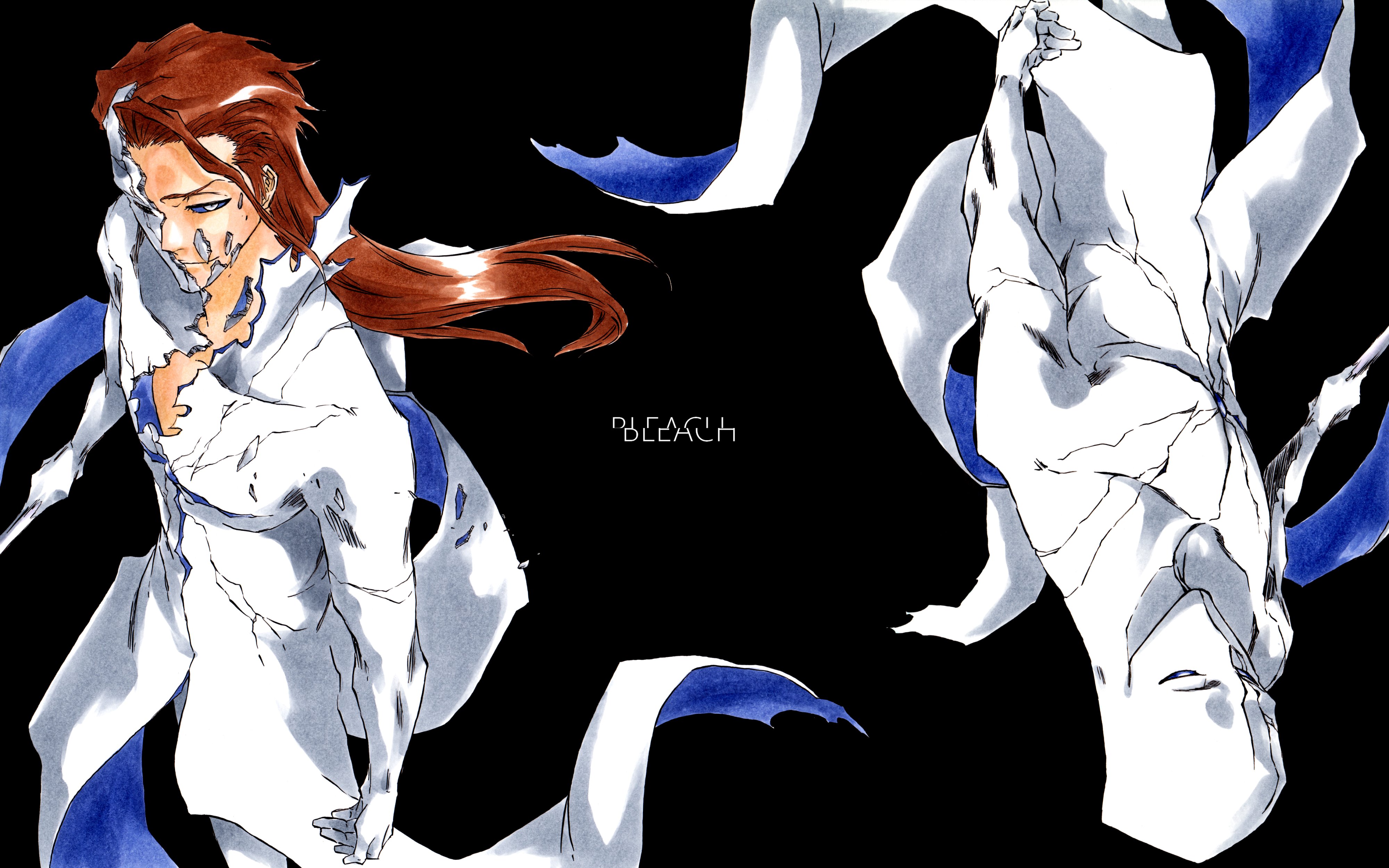 The Transcendent God: Aizen’s Hogyoku Metamorphosis
