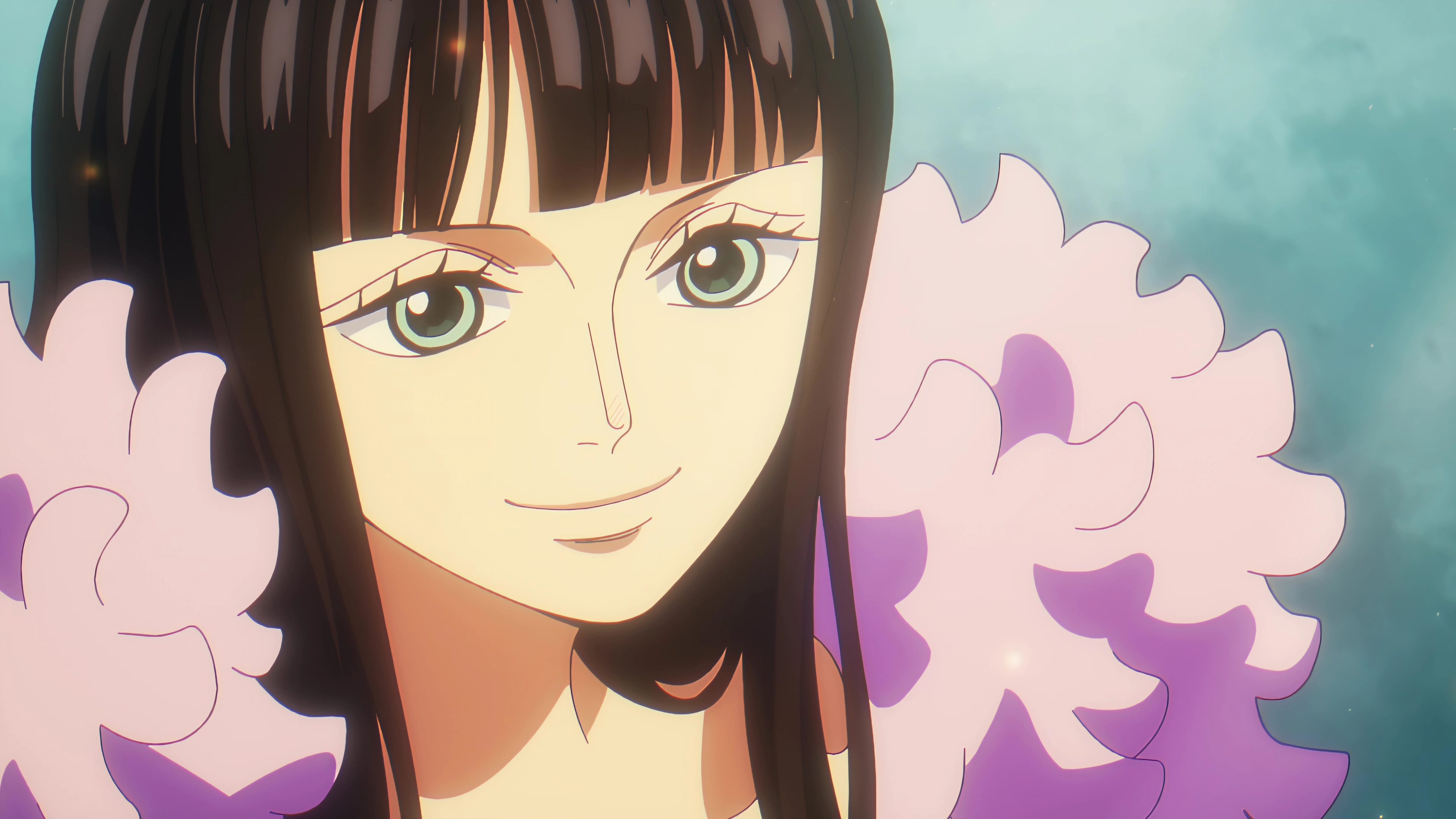 One Piece Robin Gentle Smile