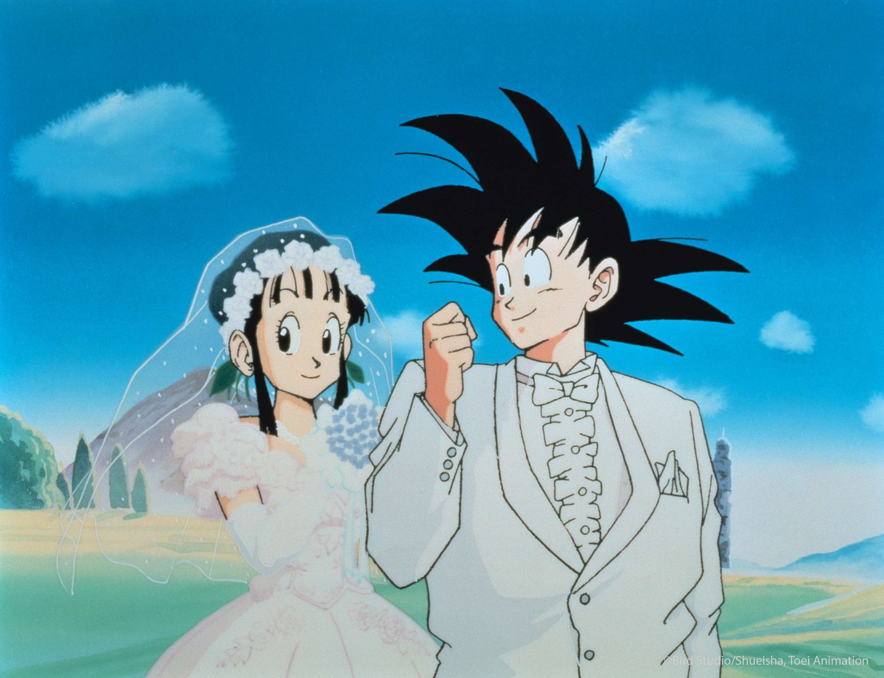 Forever Begins Here — Goku & Chi-Chi