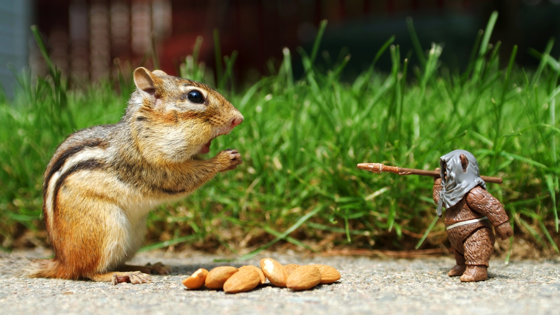 Funny Chipmunk vs Star Wars Ewok Action Figure