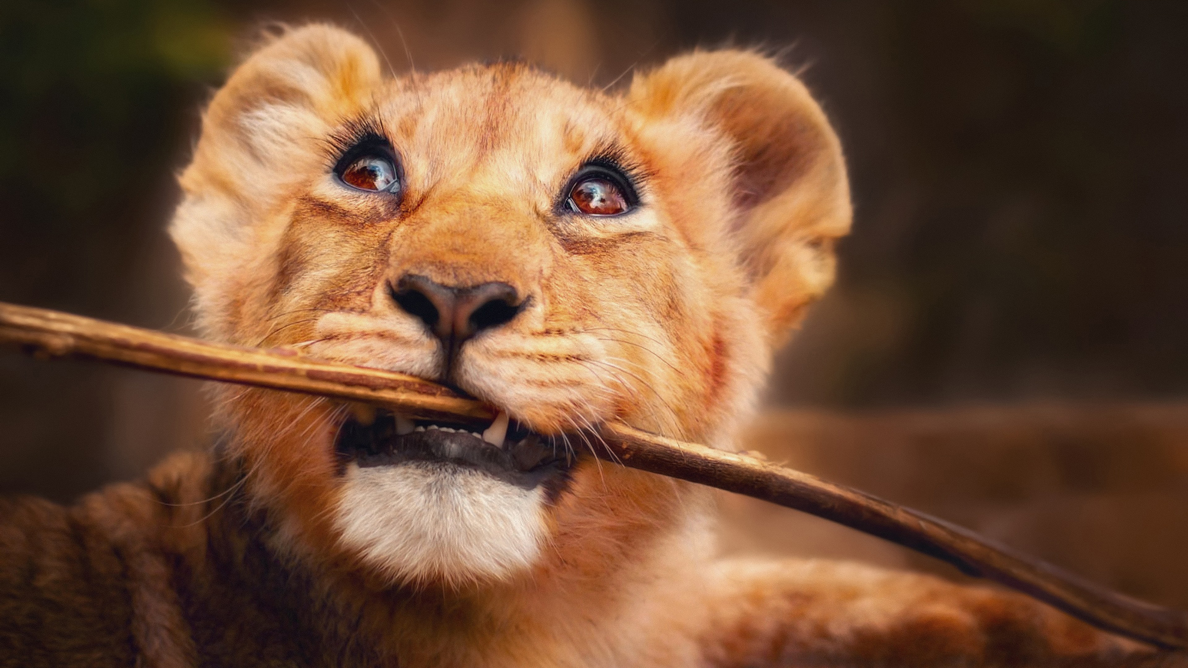 Playful Lion Cub Wooden Stick Close-Up