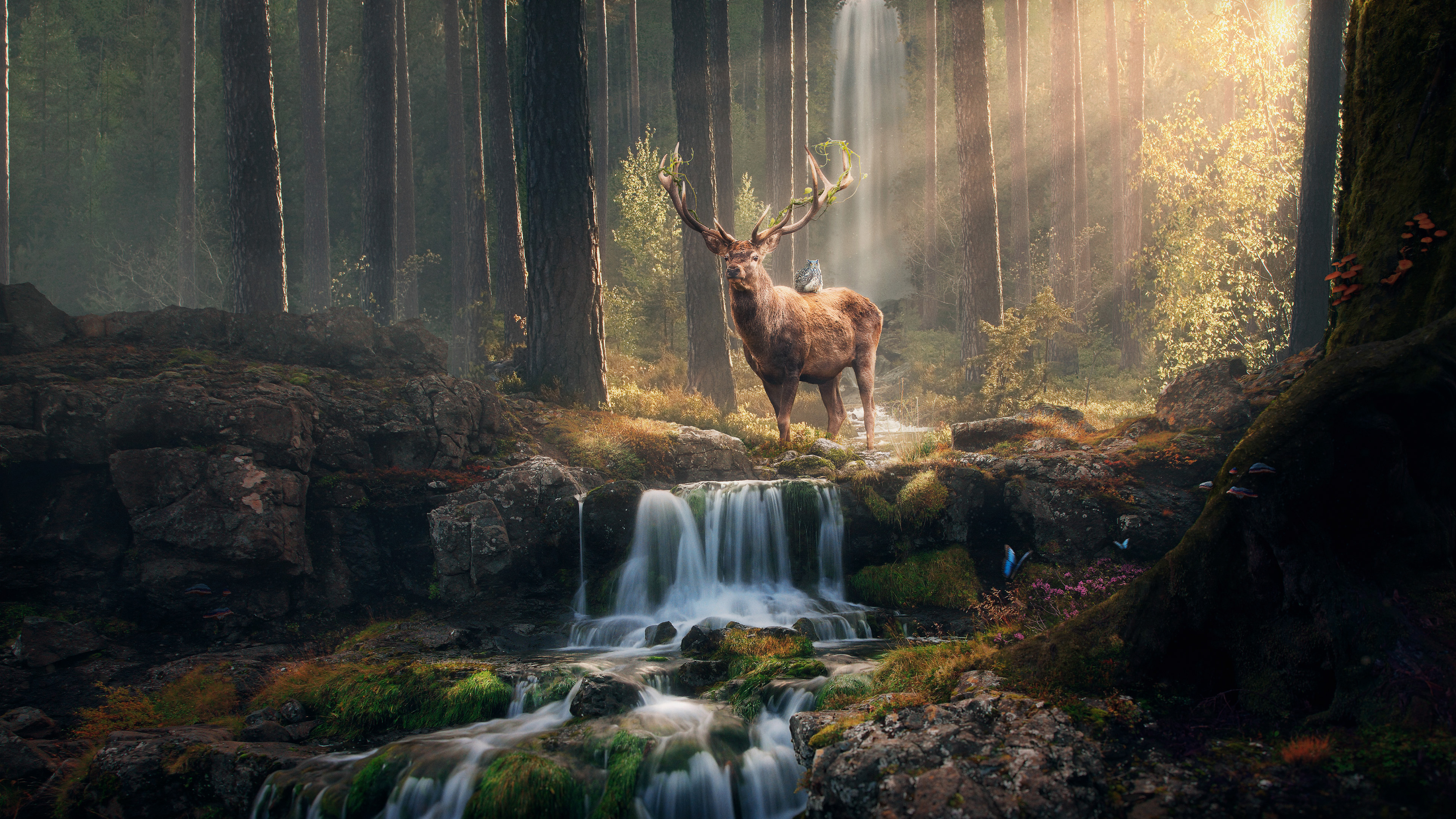White-Tailed Deer Stag and Great Horned Owl Forest