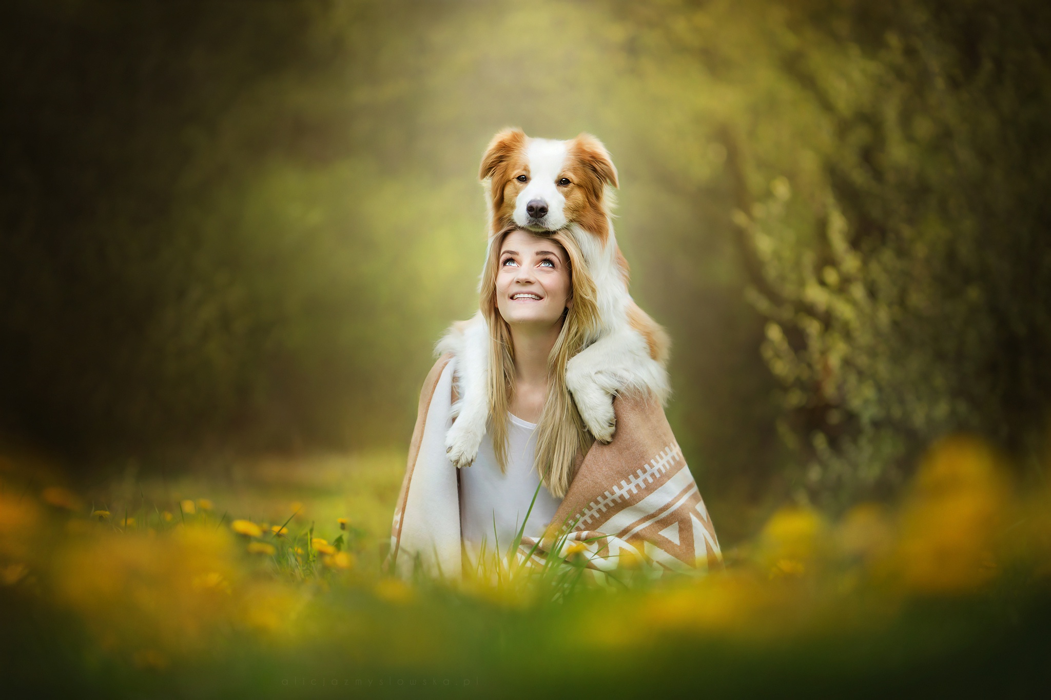 Girl and Sable Border Collie Hug Dandelion Meadow