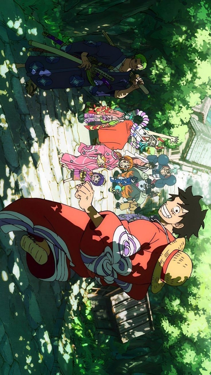 Luffy 