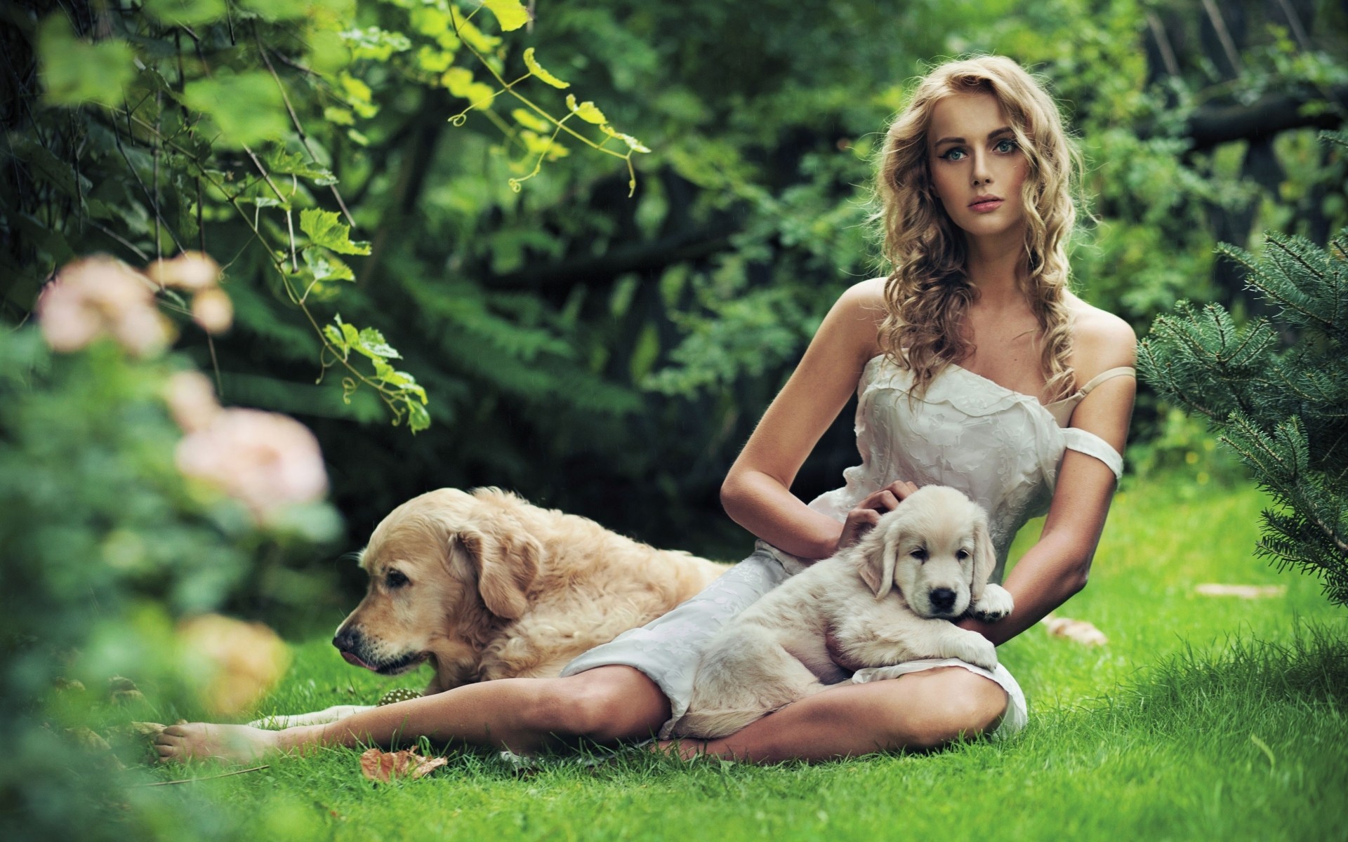 Girl Sitting on Lawn Surrounded by Golden Puppies