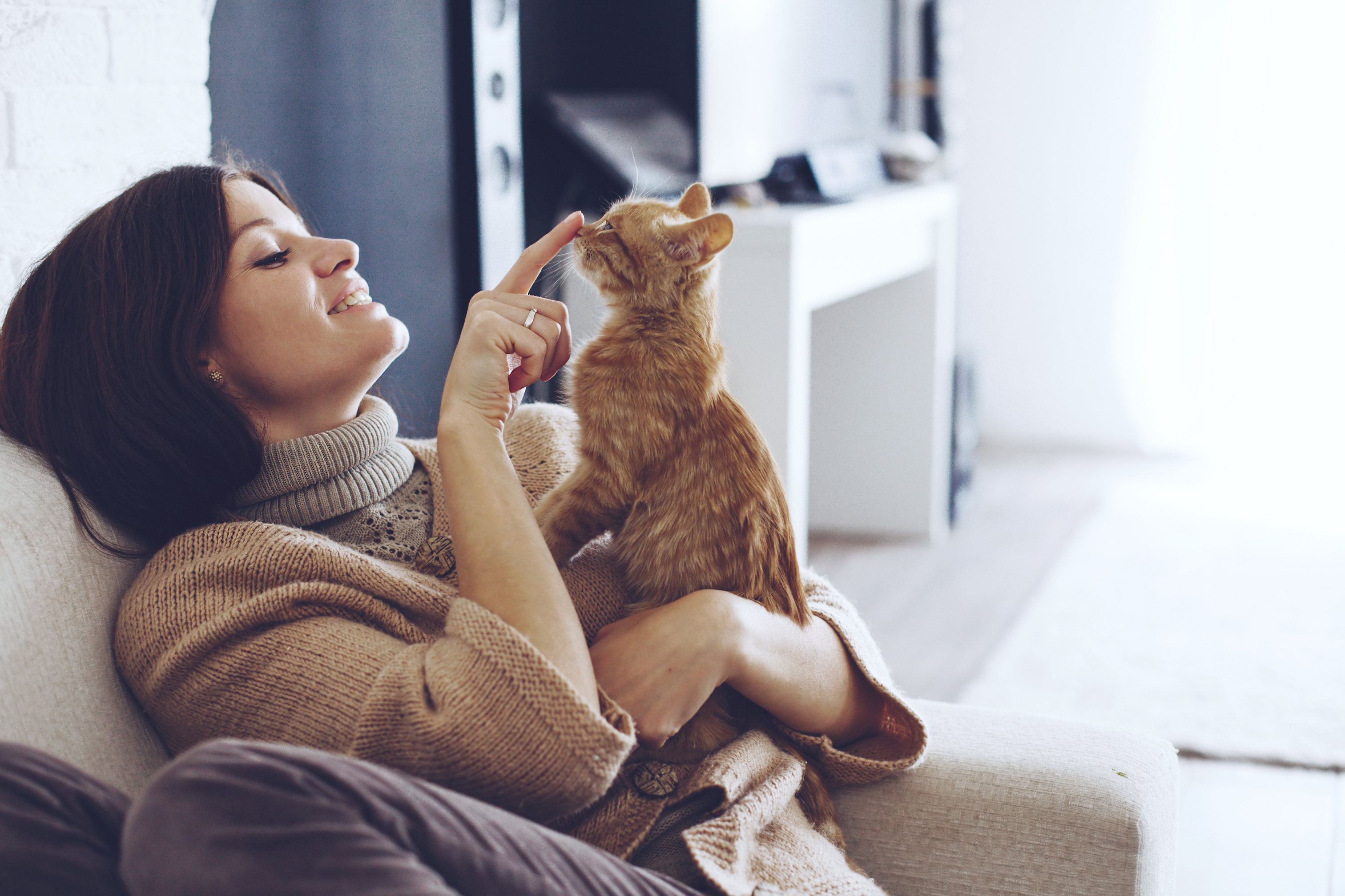Young Woman Cuddling Fluffy Tabby Cat Cozy Bed