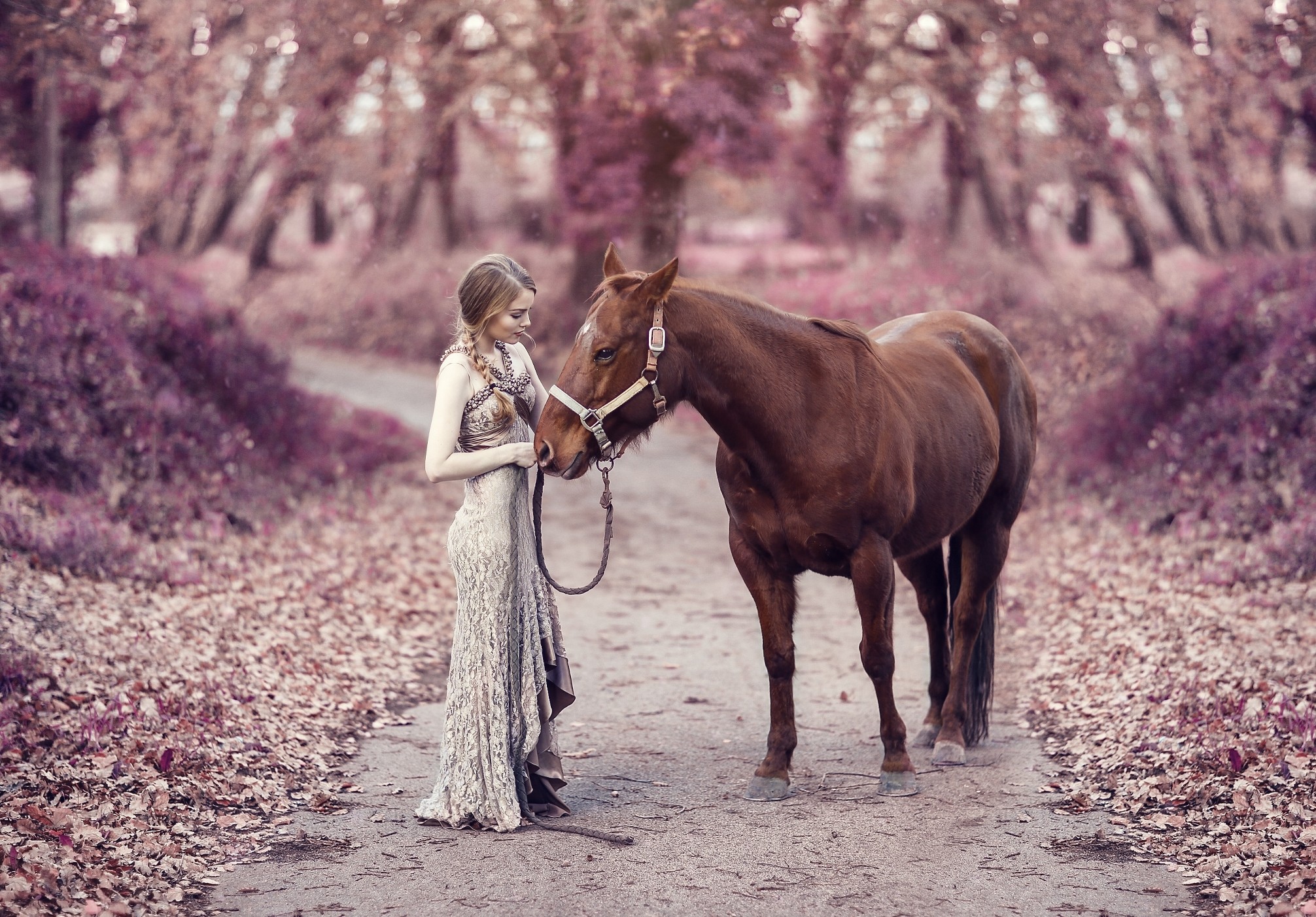 Young Woman and Black Friesian Horse Moody Sunset