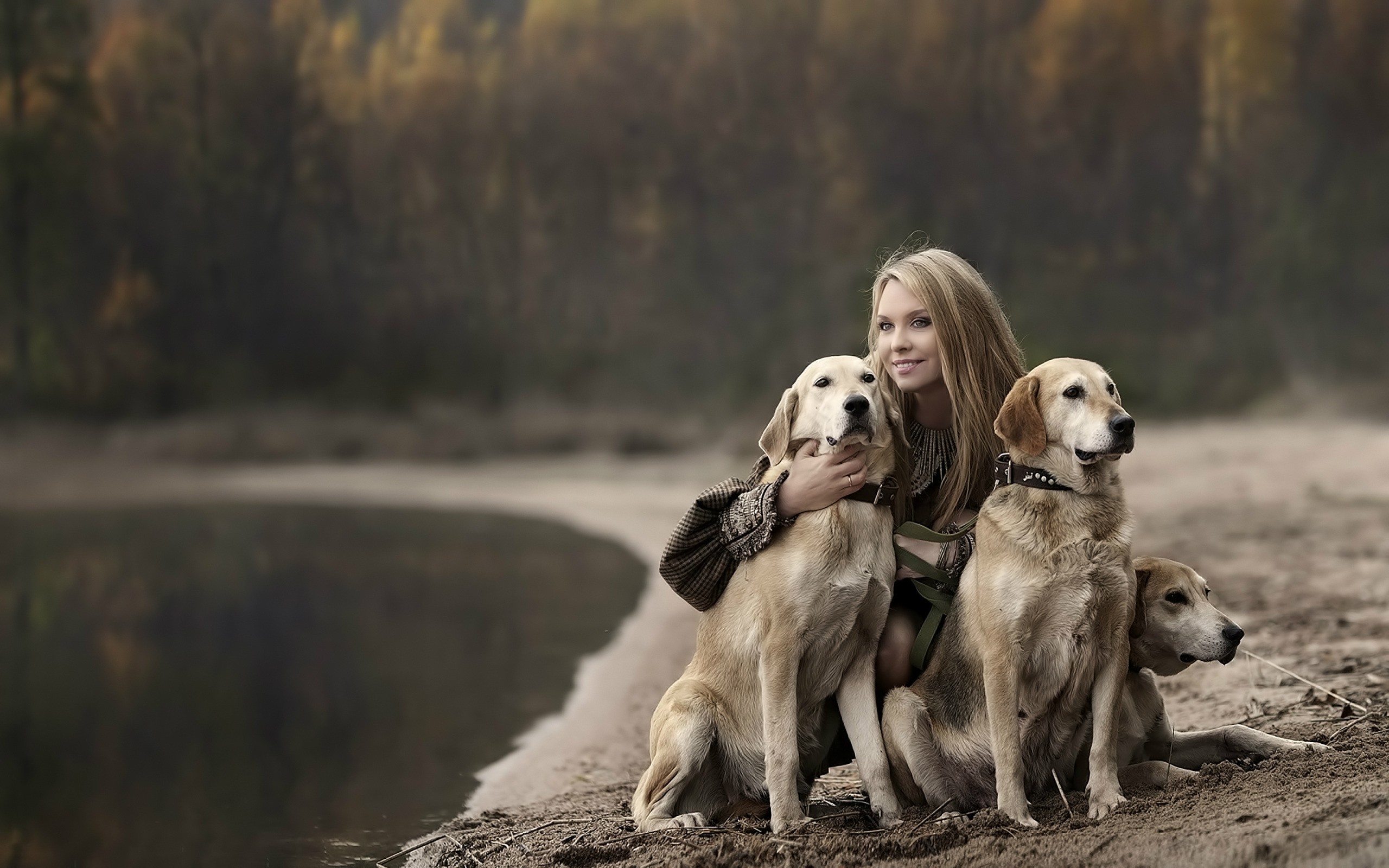 Young Woman Cuddling Two Labrador Retrievers