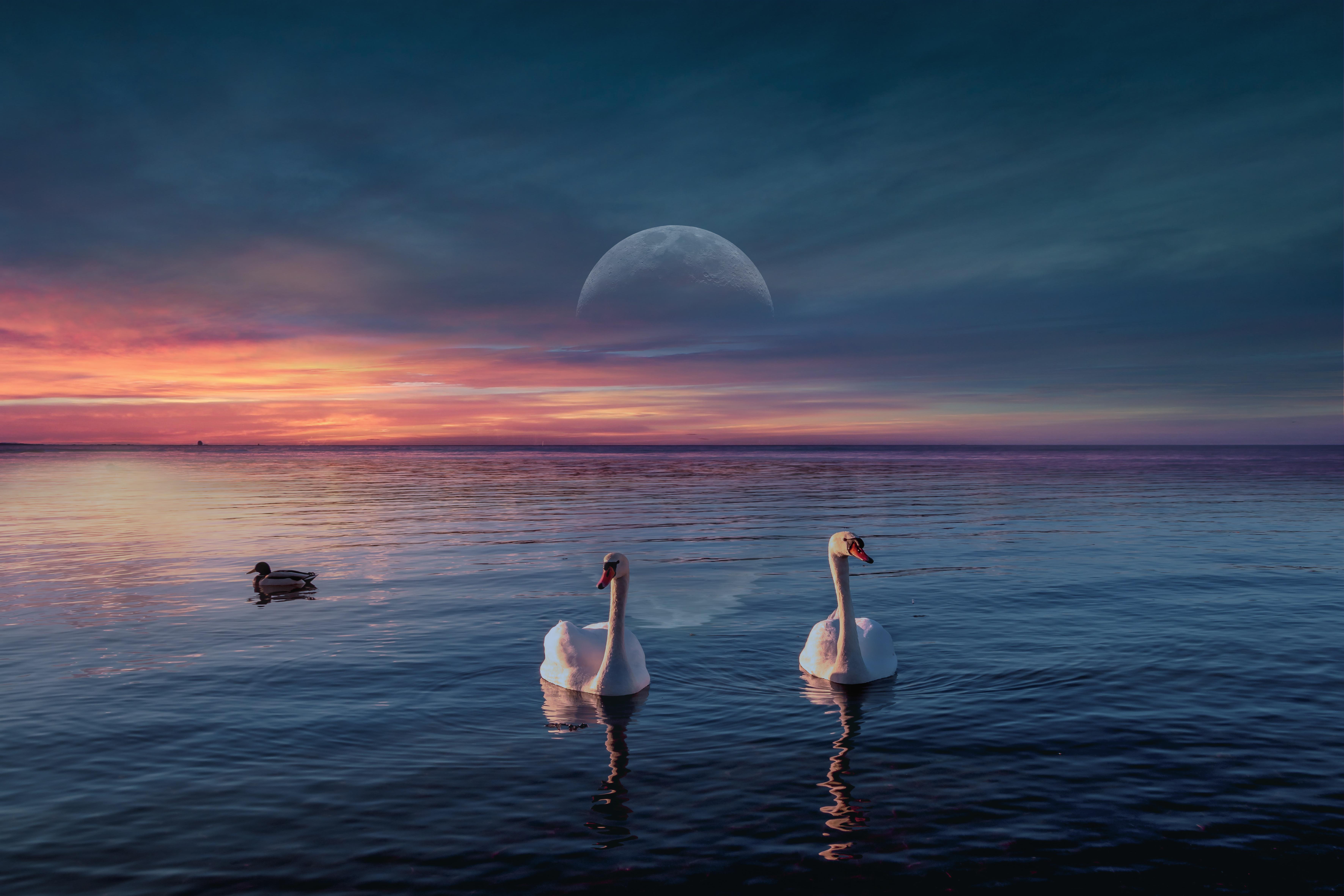 Serenade To A Crescent Horizon